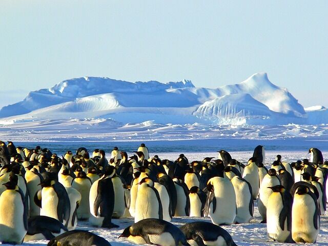 Antarctica is an amazing place to travel to