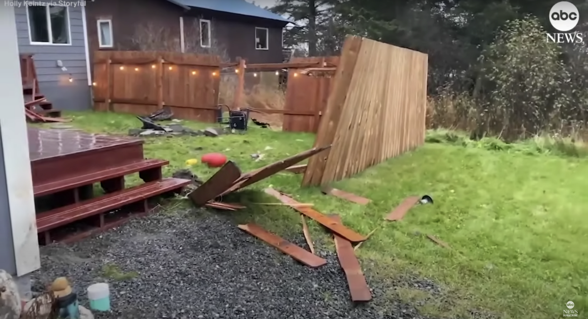 Two wild moose had a fight in the backyard of a house in Alaska. Video