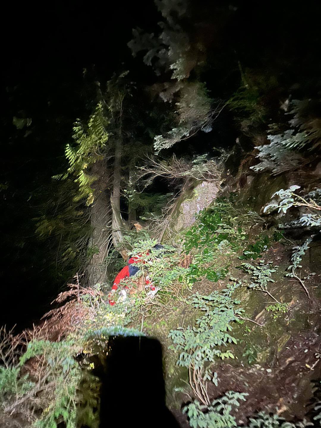 A tourist got stranded on a cliff because he took a non-existent path on Google Maps