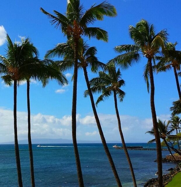 A tropical paradise on Maui