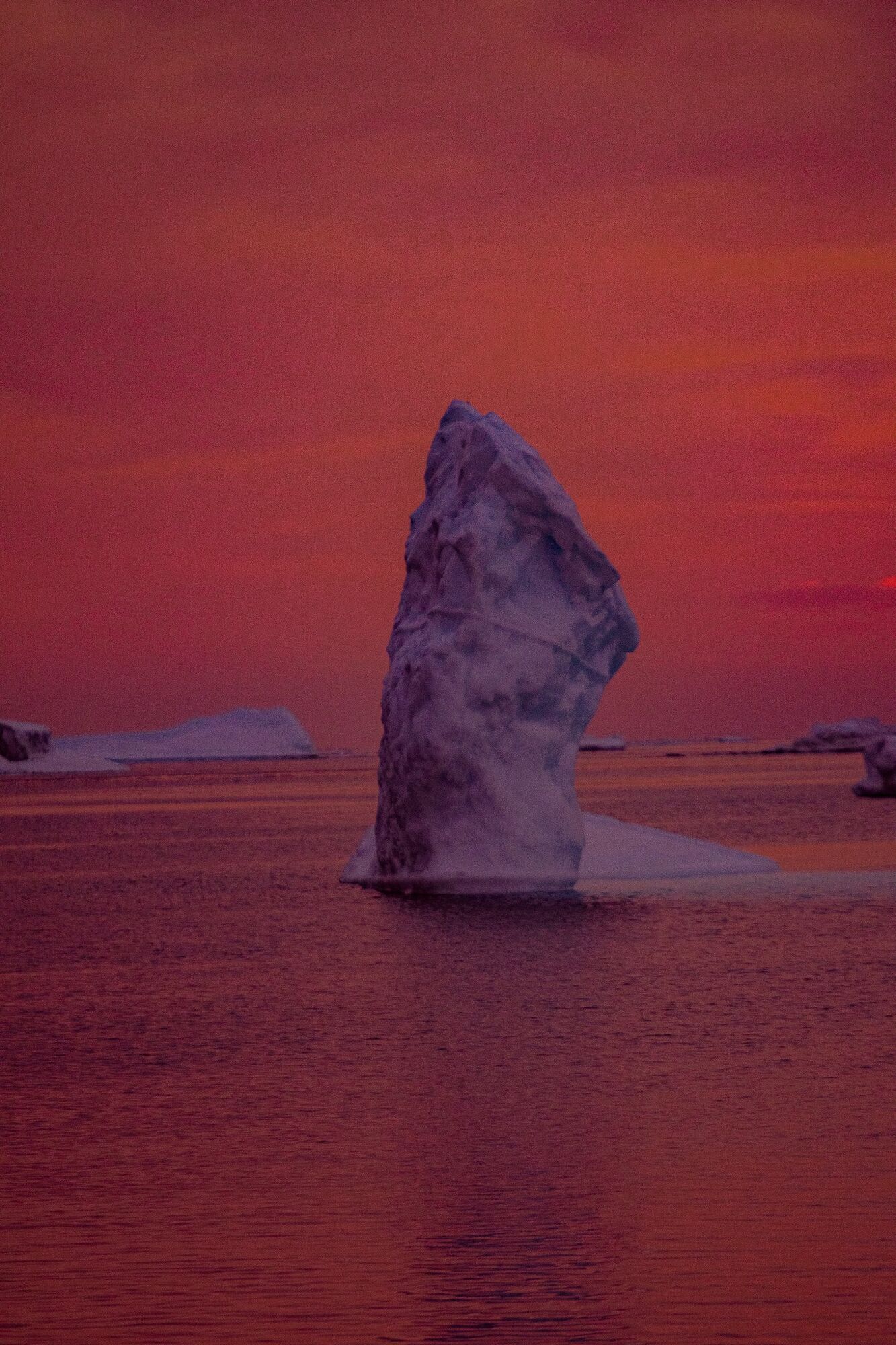 Antarctica suddenly turned maroon: fantastic photos