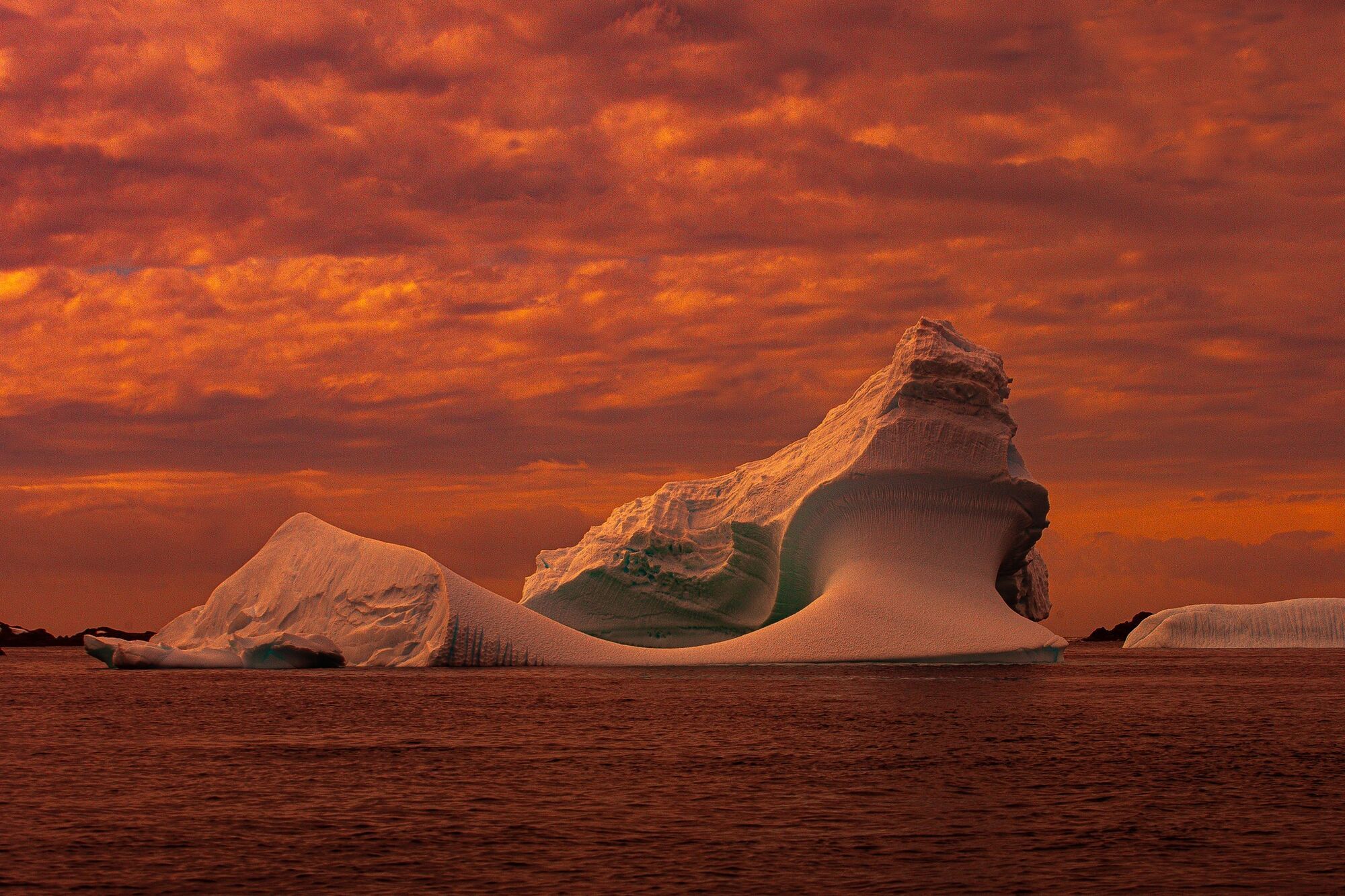Antarctica suddenly turned maroon: fantastic photos