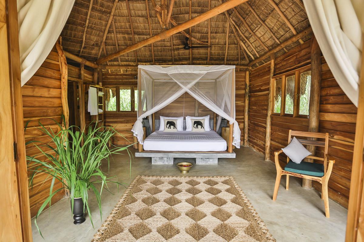 Top 5 hotels in Sri Lanka: From oceanfront bungalows to secluded lodges in the middle of the jungle