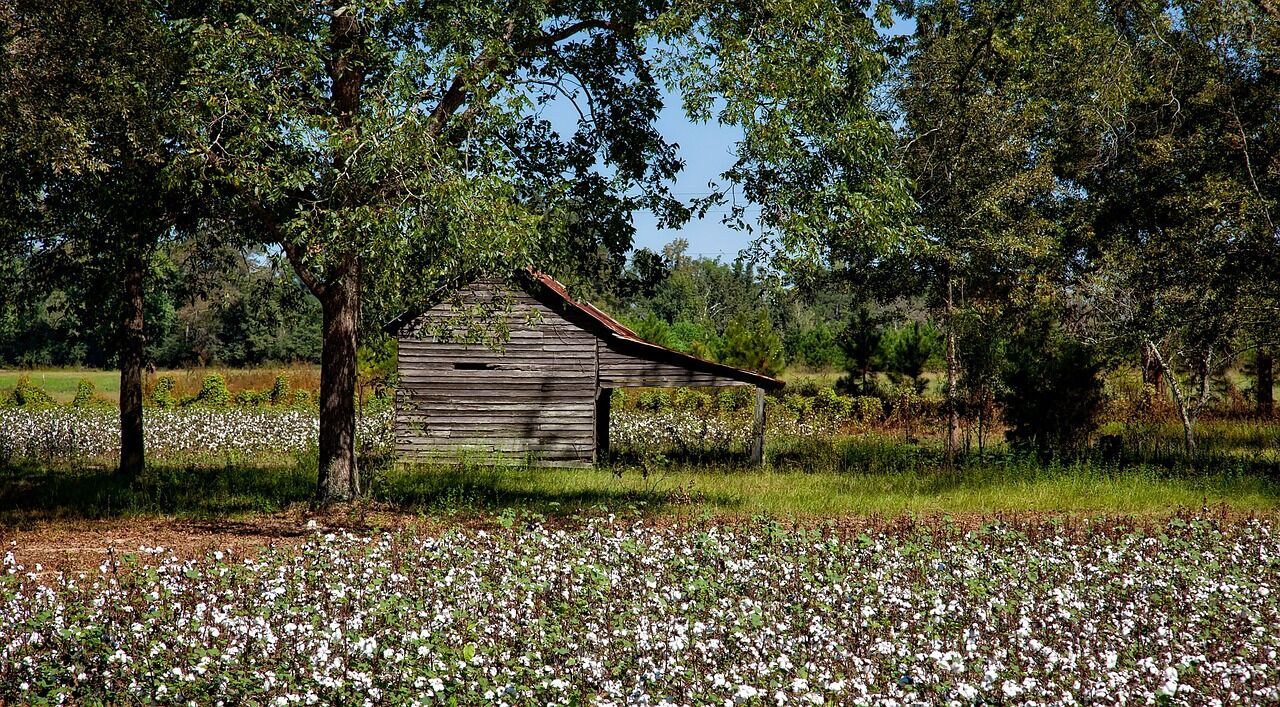 Where to escape from civilization: the best US states for off-grid living