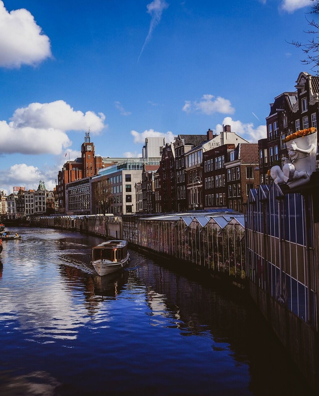 There is a floating market in Amsterdam