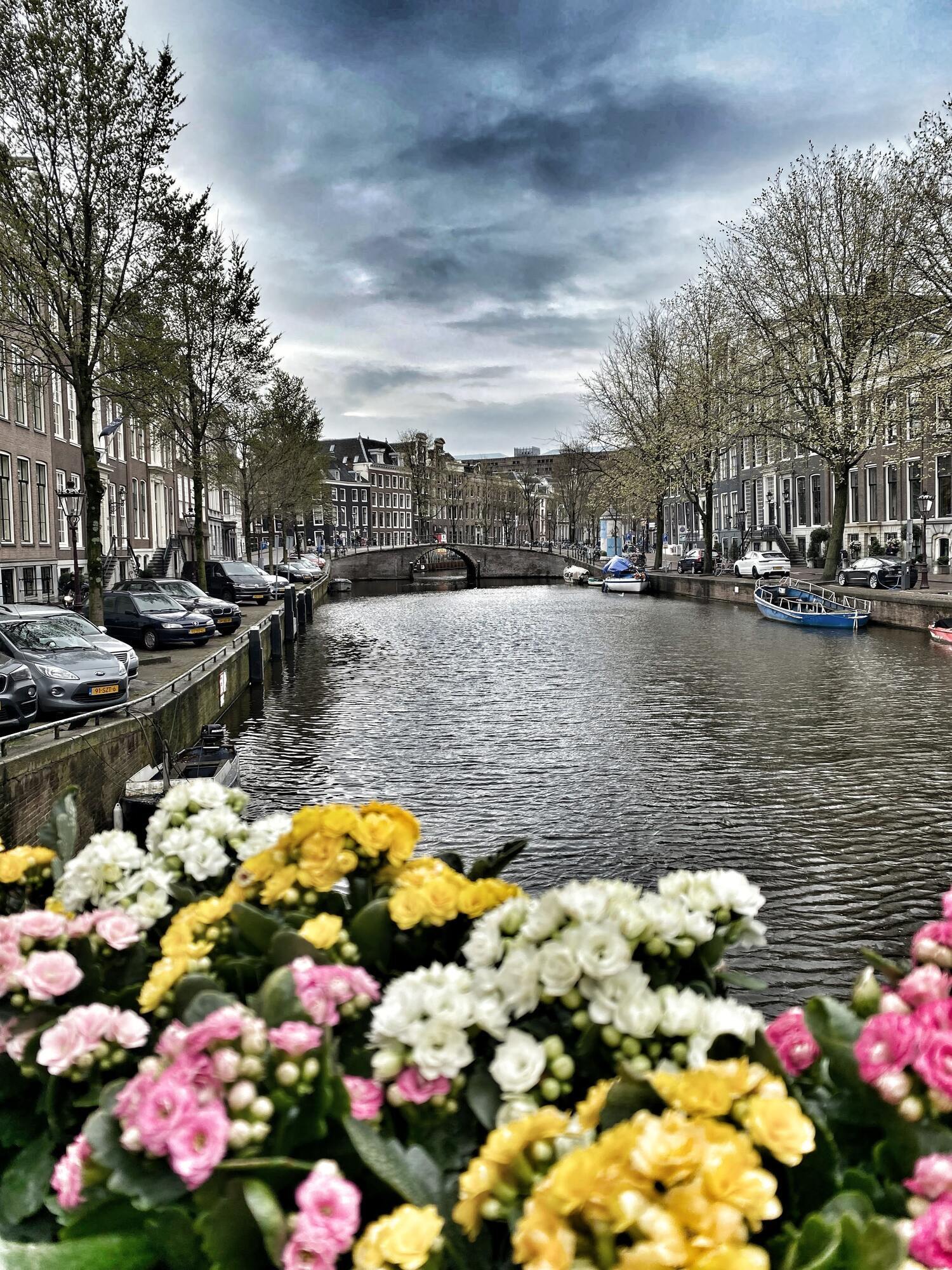 Top things to do in Amsterdam: all secrets of bright leisure