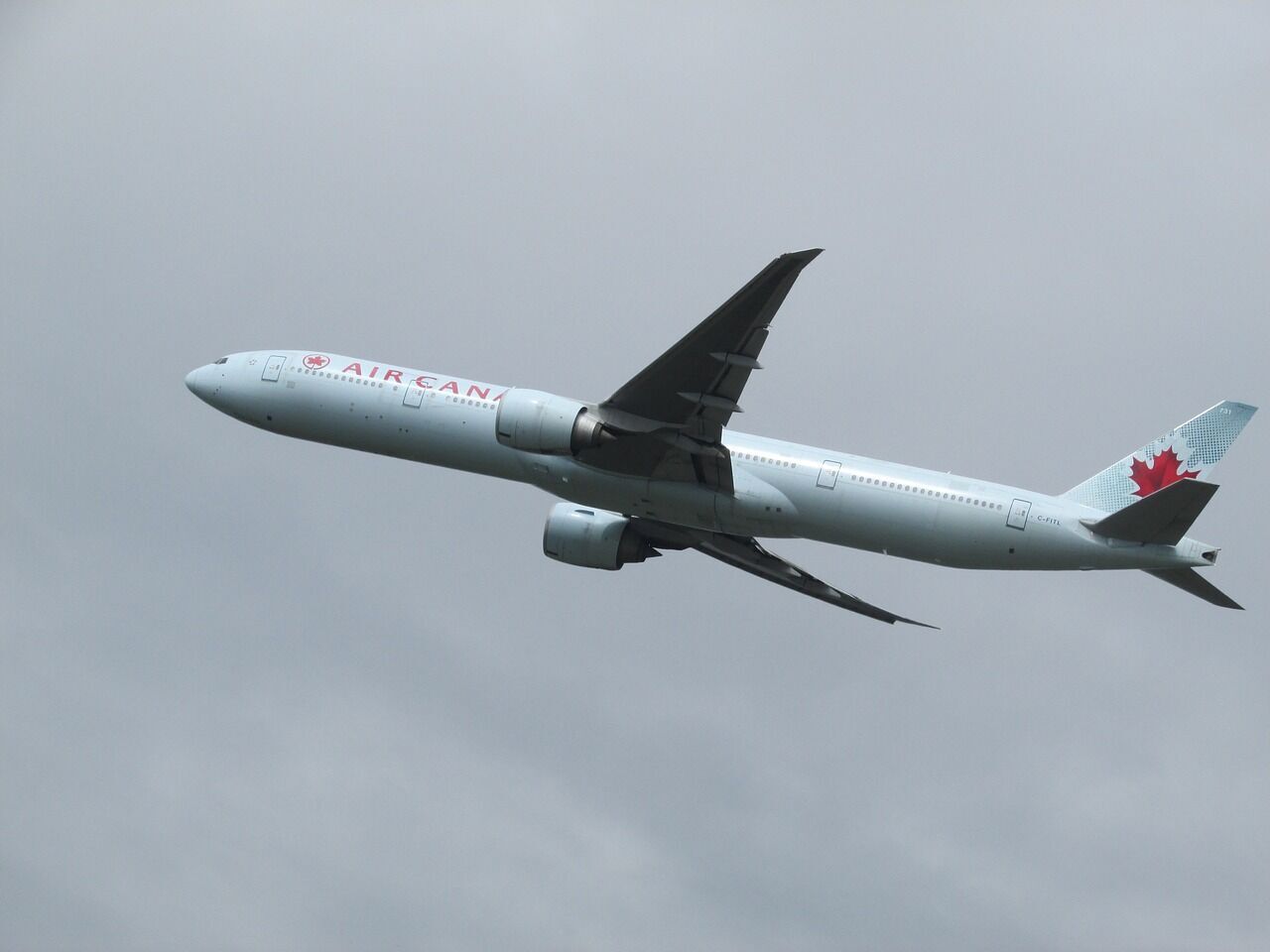 Passengers were removed from the plane because they refused to sit in seats covered with vomit: Air Canada outraged online