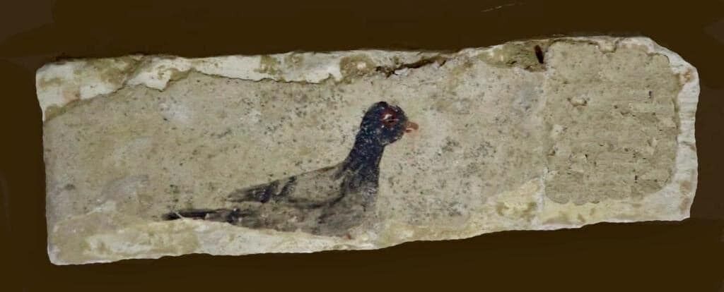 Unique discovery: archaeologists have found burials and artifacts in an ancient tomb in Egypt