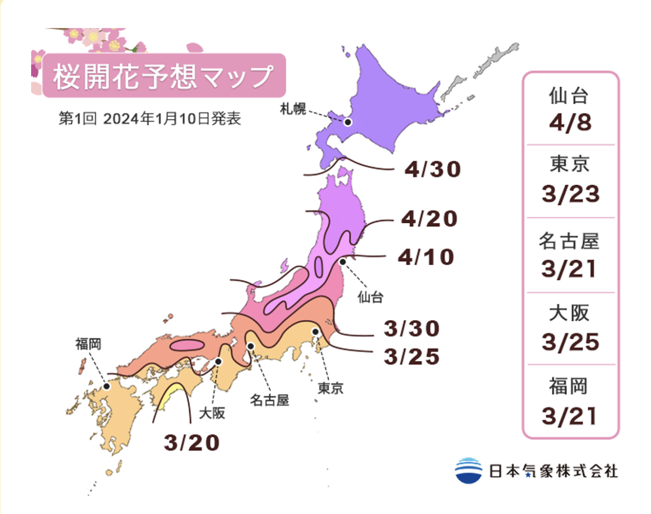 For tourists, the forecast for cherry blossom blooming in Japan for the year 2024 has been released