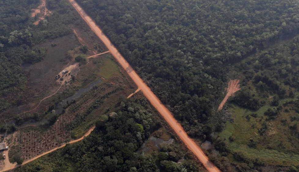 Brazil wants to build a highway through the heart of the Amazon rainforest: scientists fear an eco-disaster