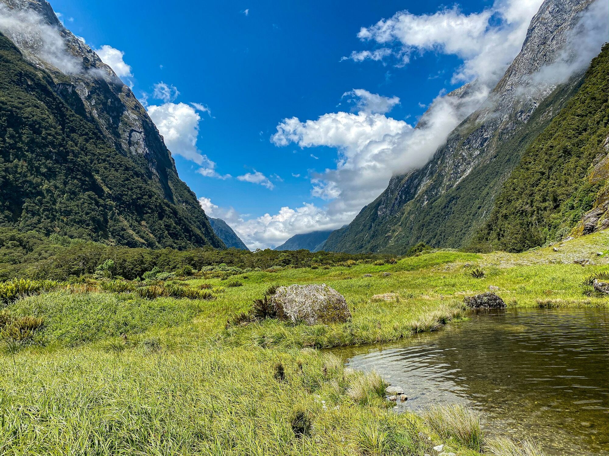 Milford Track sightseeing