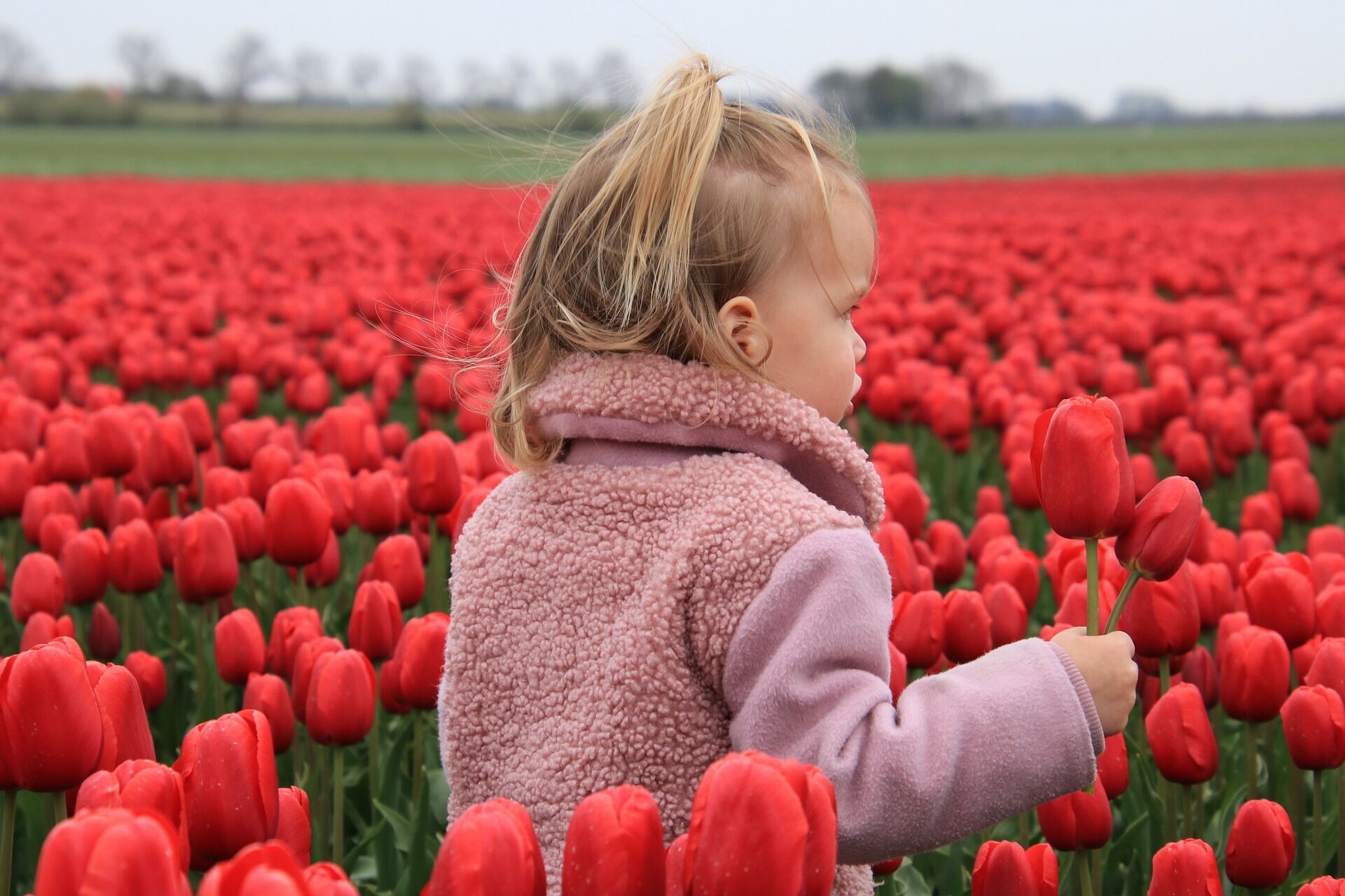 A family trip to the Netherlands: how to spend time and what to see