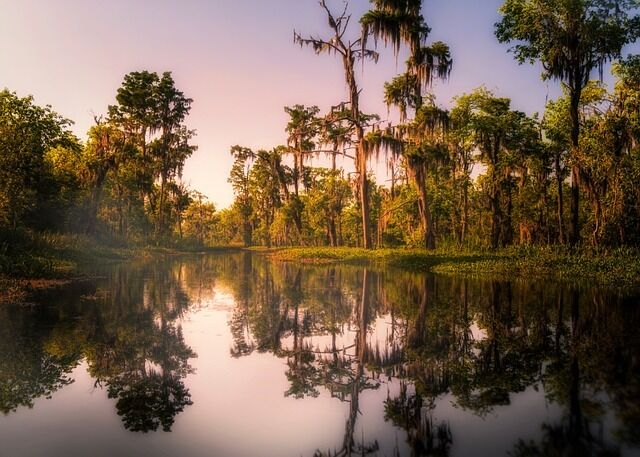The perfect place in New Orleans for nature lovers