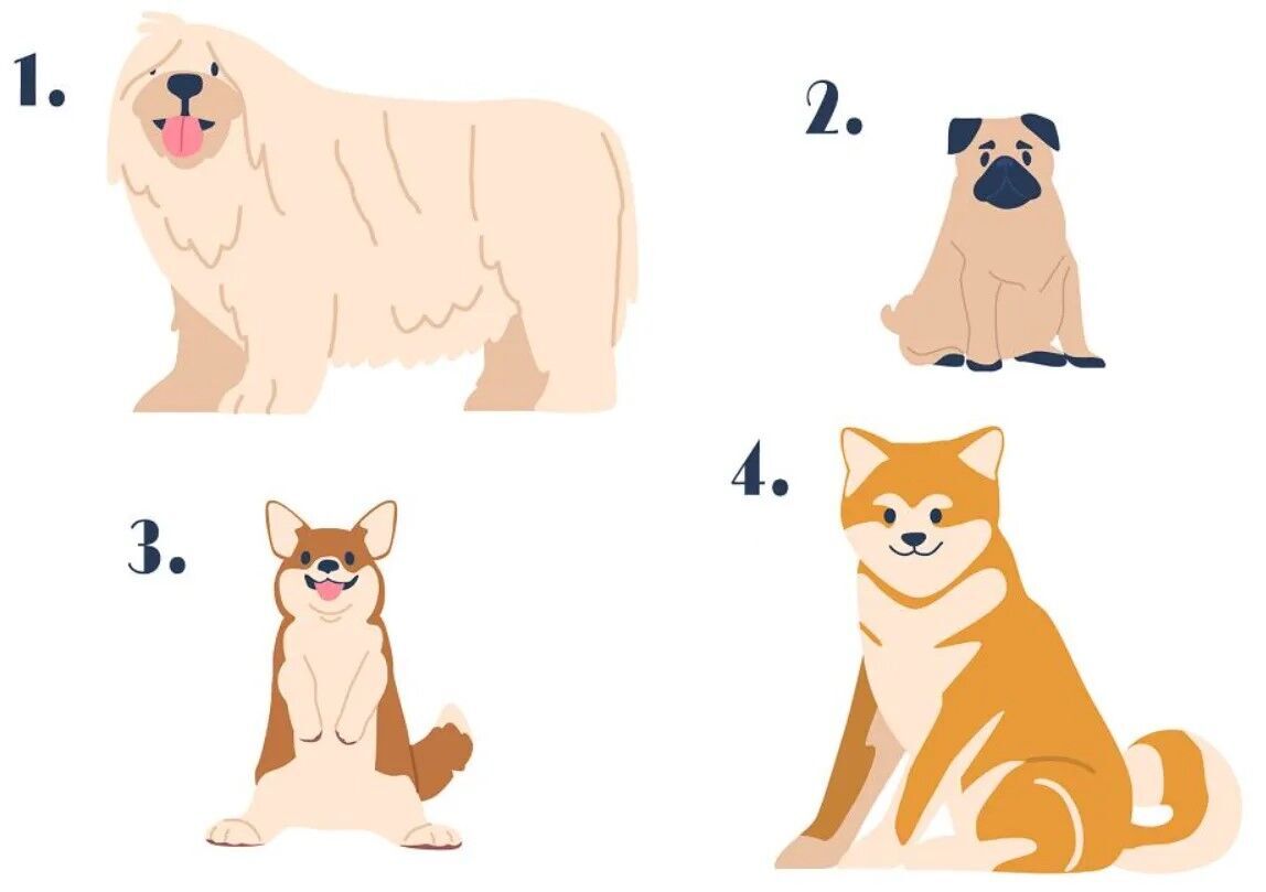 What dog will you take home? This psychological test will tell you a lot about you