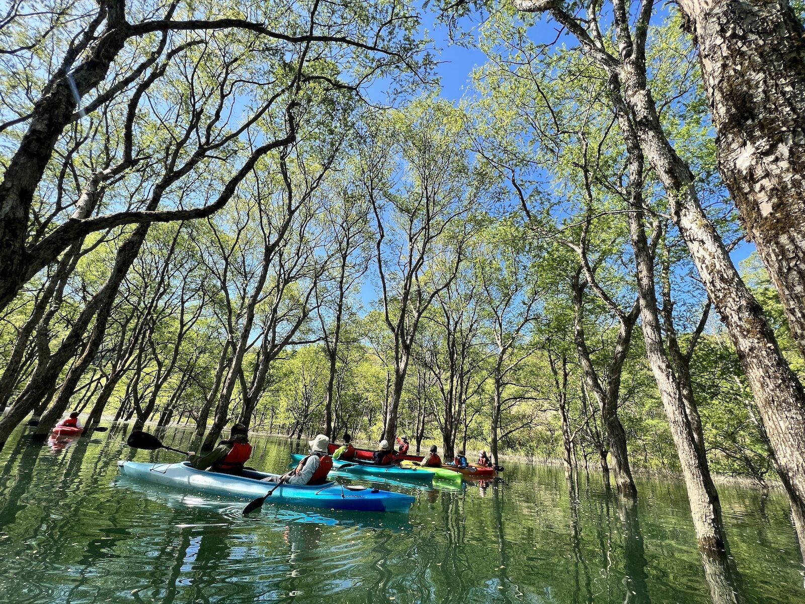 Canoeing and giant icebergs: new routes for tourists in Japan