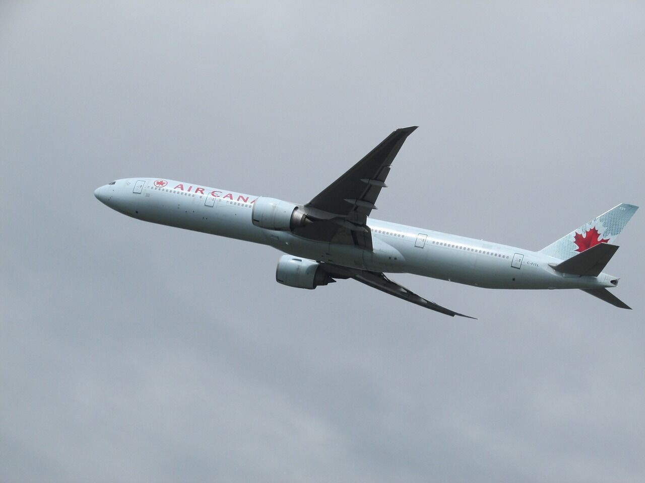 A 16-year-old passenger assaulted a family member on board an Air Canada flight, forcing the crew to make an unscheduled landing