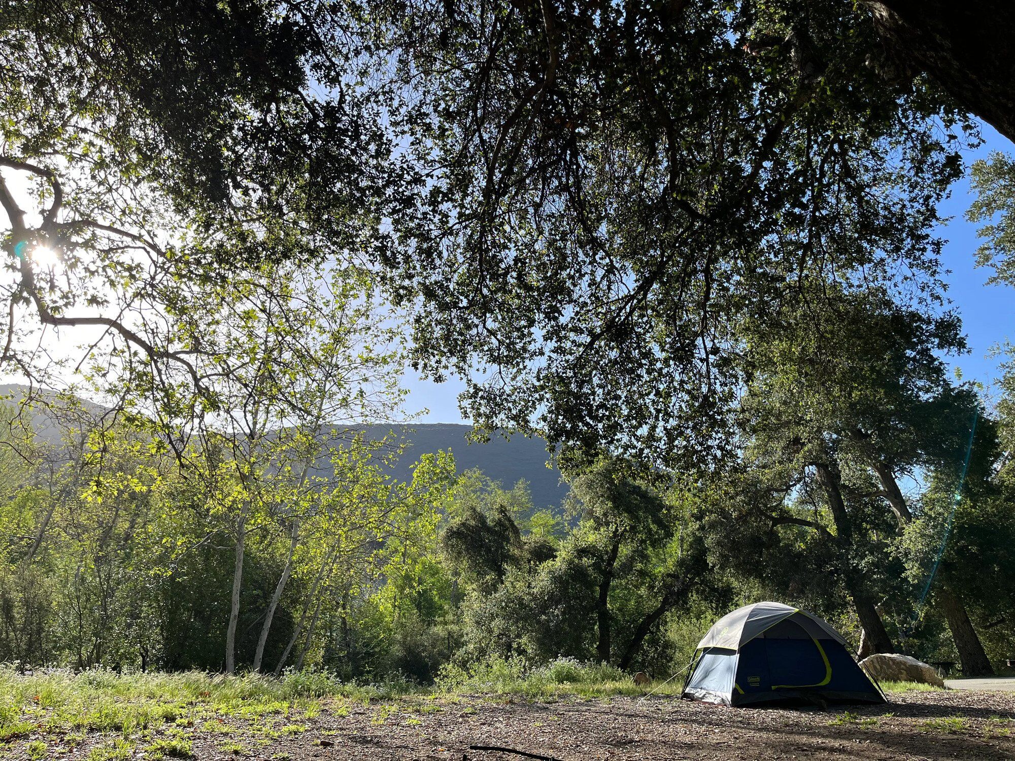 Discover the Best Camping Spots Near Los Angeles