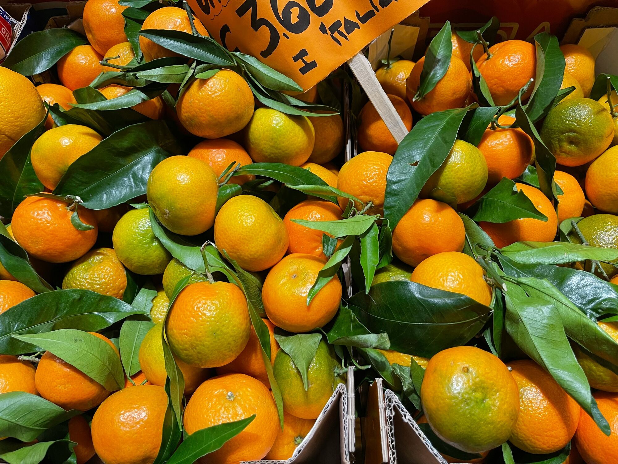 New season citrus in a fruit shop, Trieste.