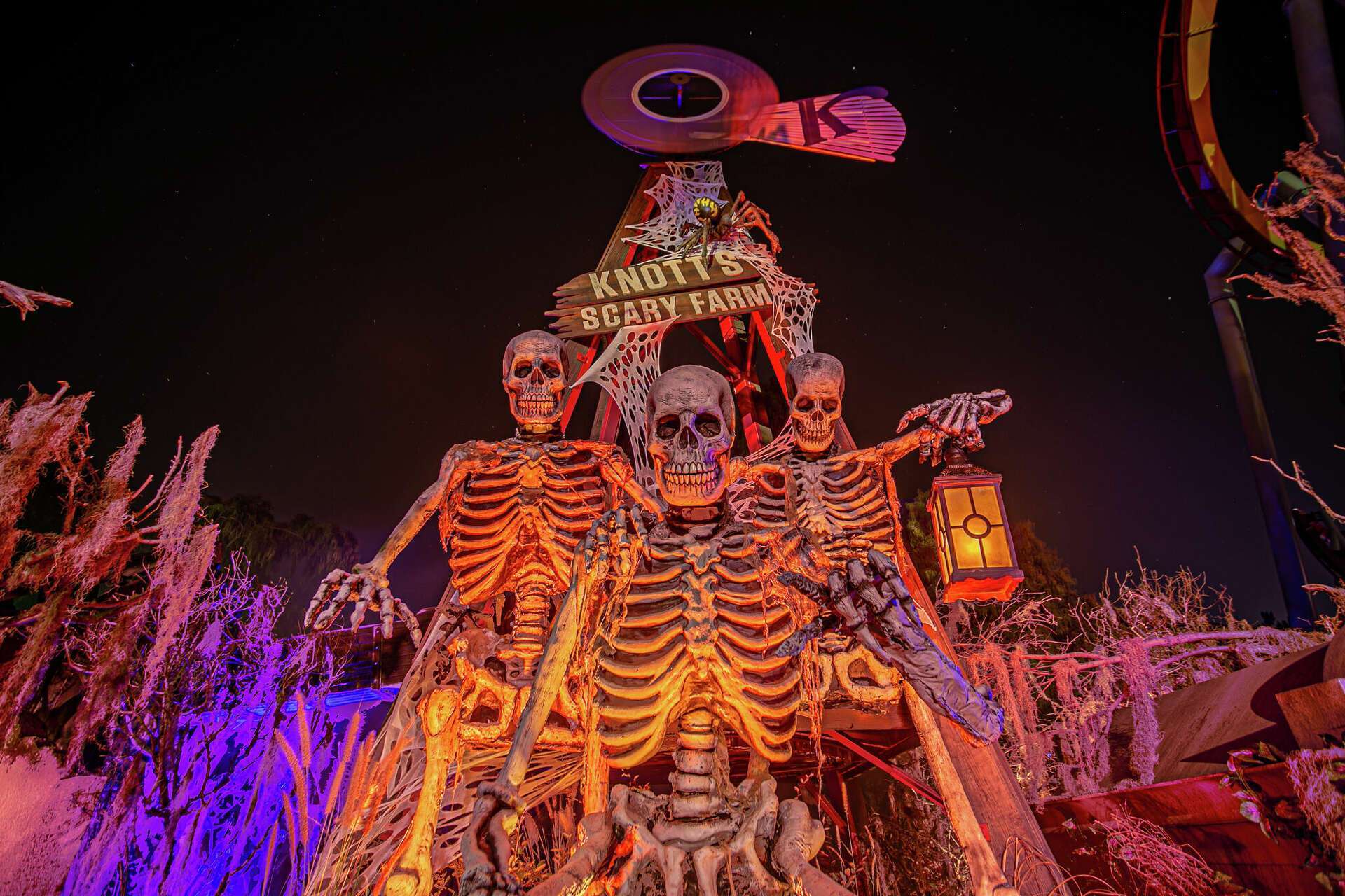 Unforgettable Halloween Celebrations in Los Angeles