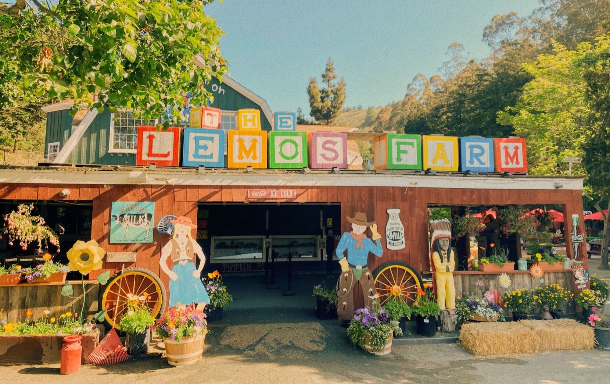 Top Pumpkin Patches Near San Francisco to Visit This Fall