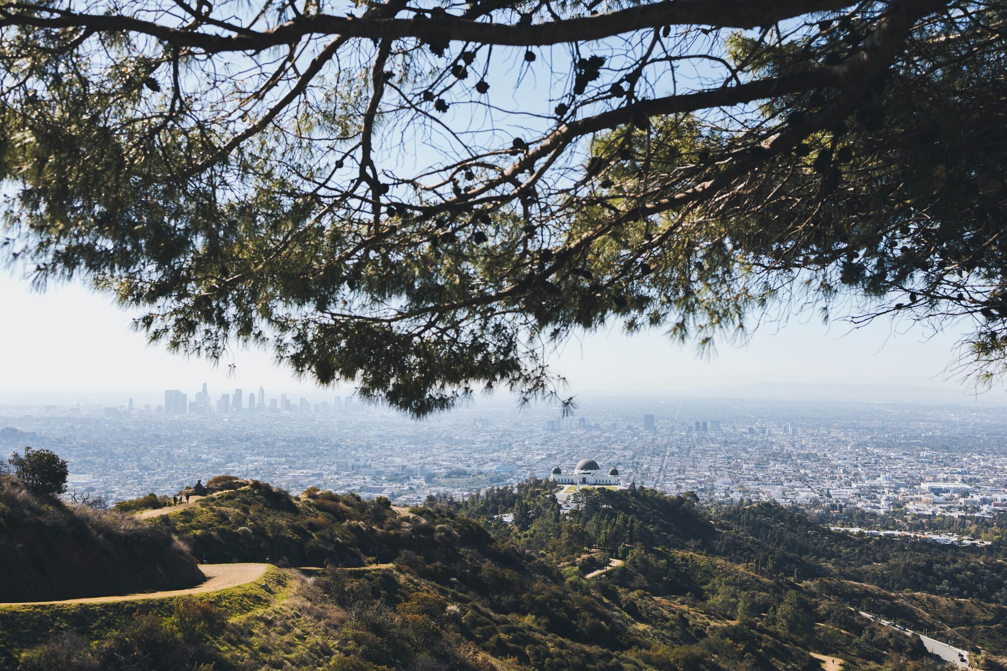 Exploring the Best Parks in Los Angeles for Nature Lovers