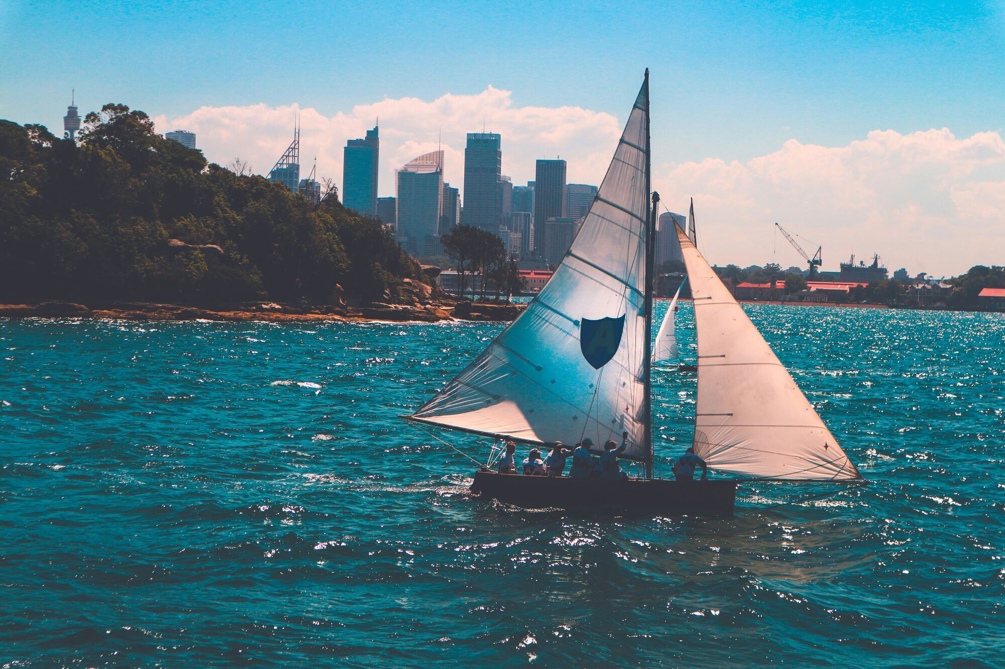 Taken in Sydney harbour during a boat race