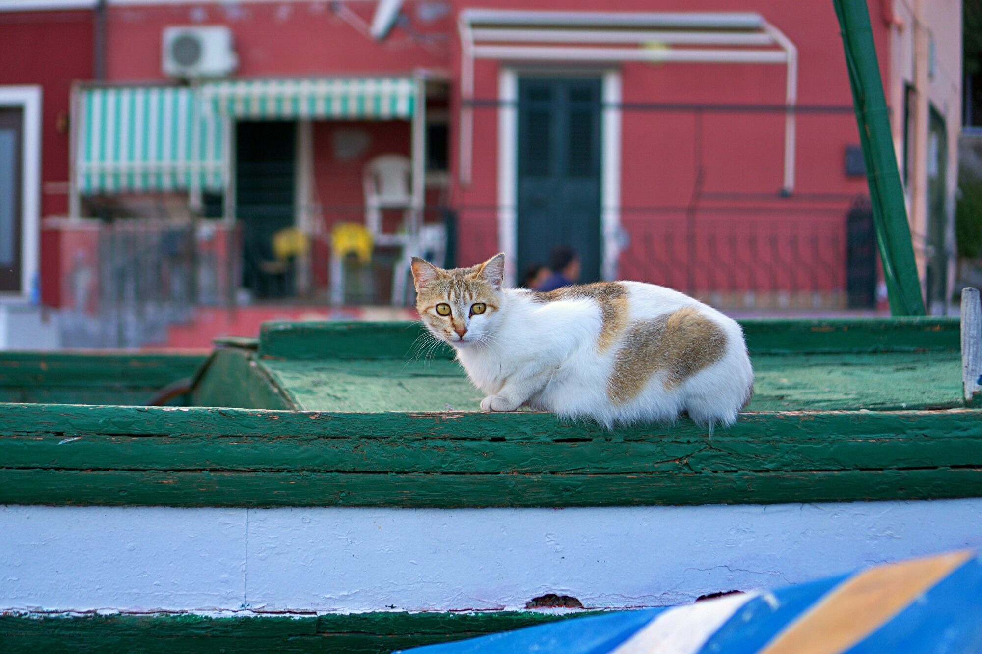 Porto di Santa Maria La Scala, Via Scalo Grande, Acireale, CT, Italia