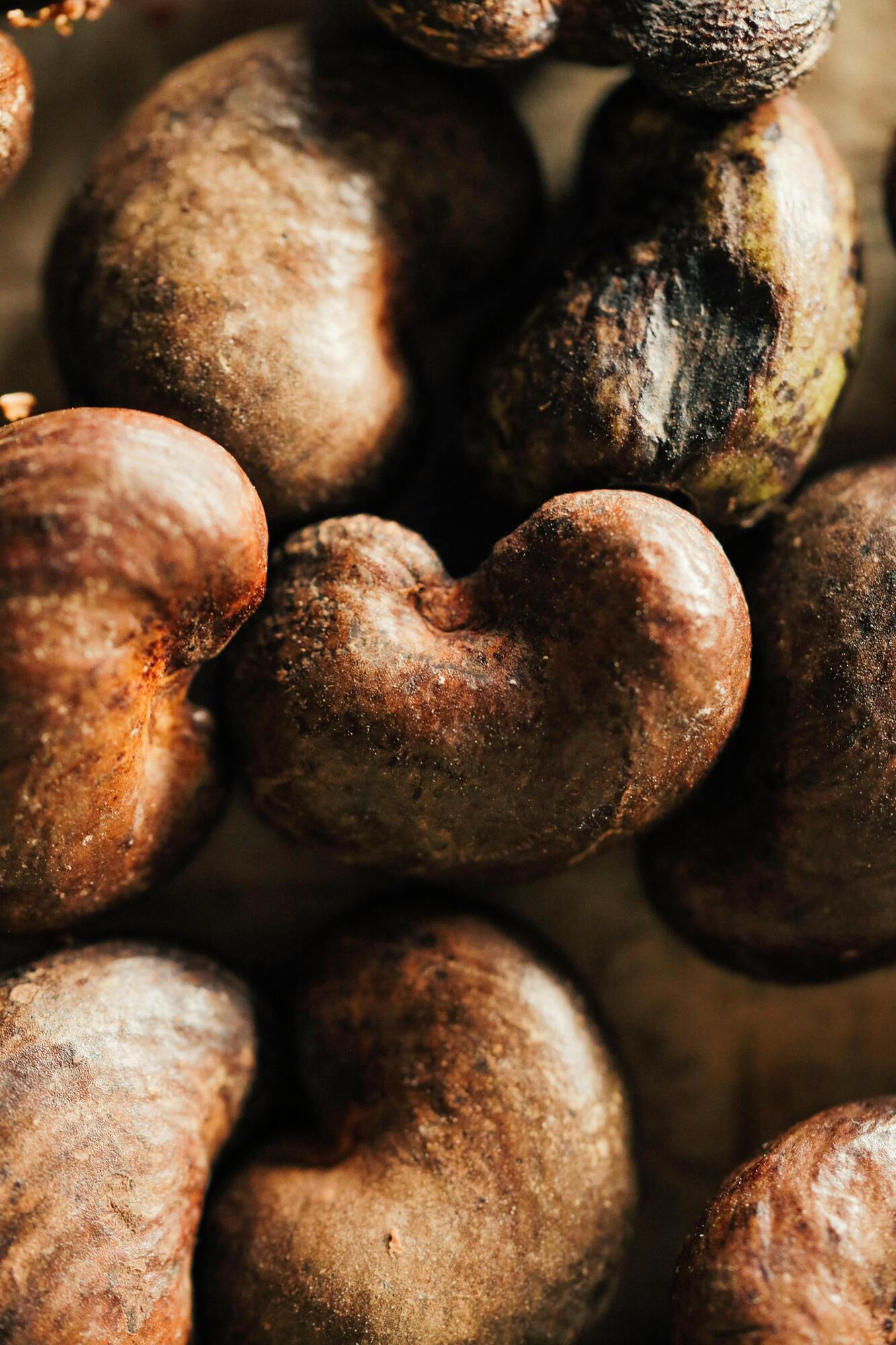 Close-up of raw cashew nuts