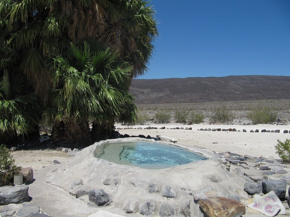 Natural hot spring pool at Saline Valley Warm Springs surrounded by desert and palm trees