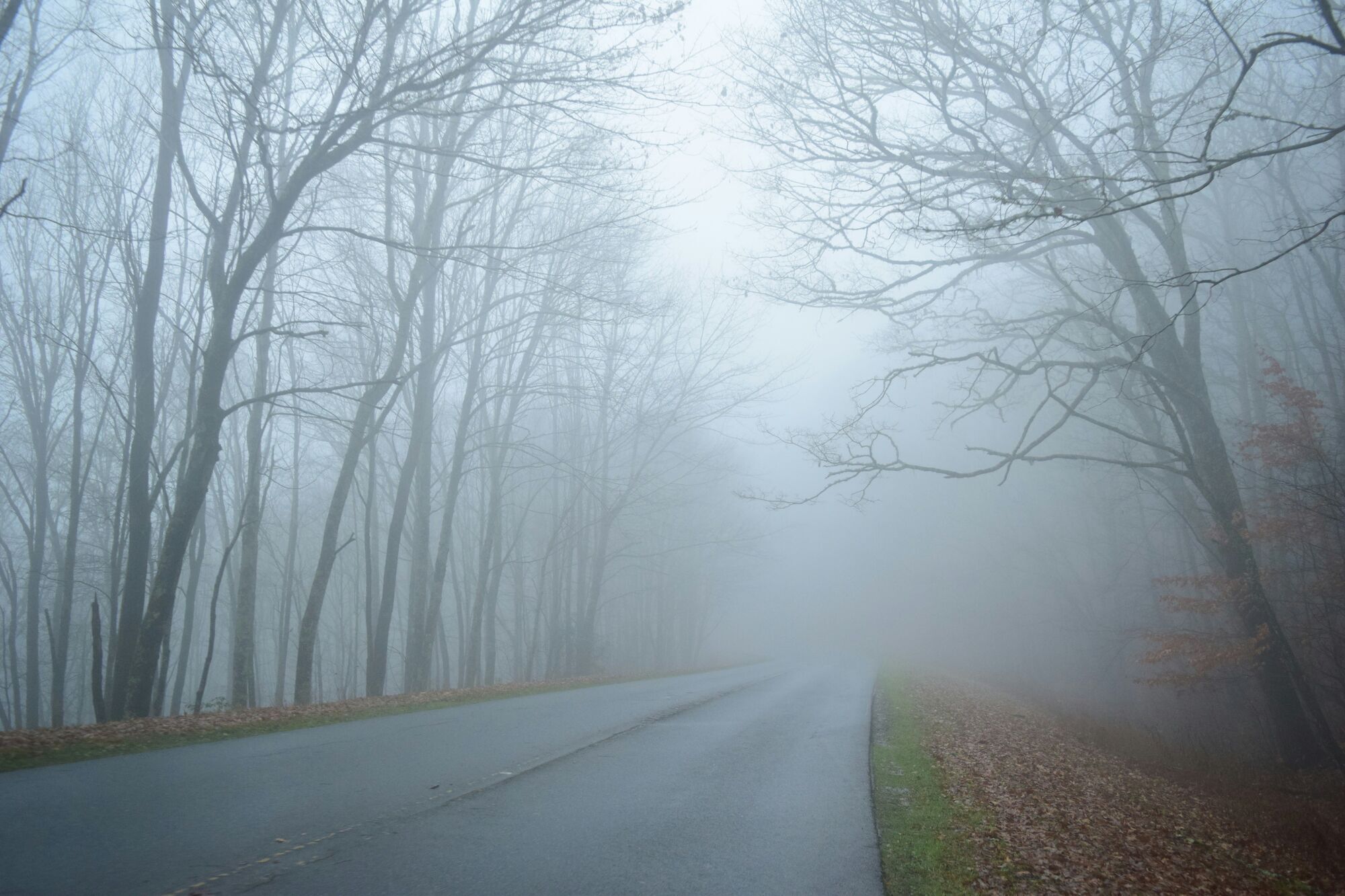 Blue Ridge Parkway, Cherokee, NC, USA