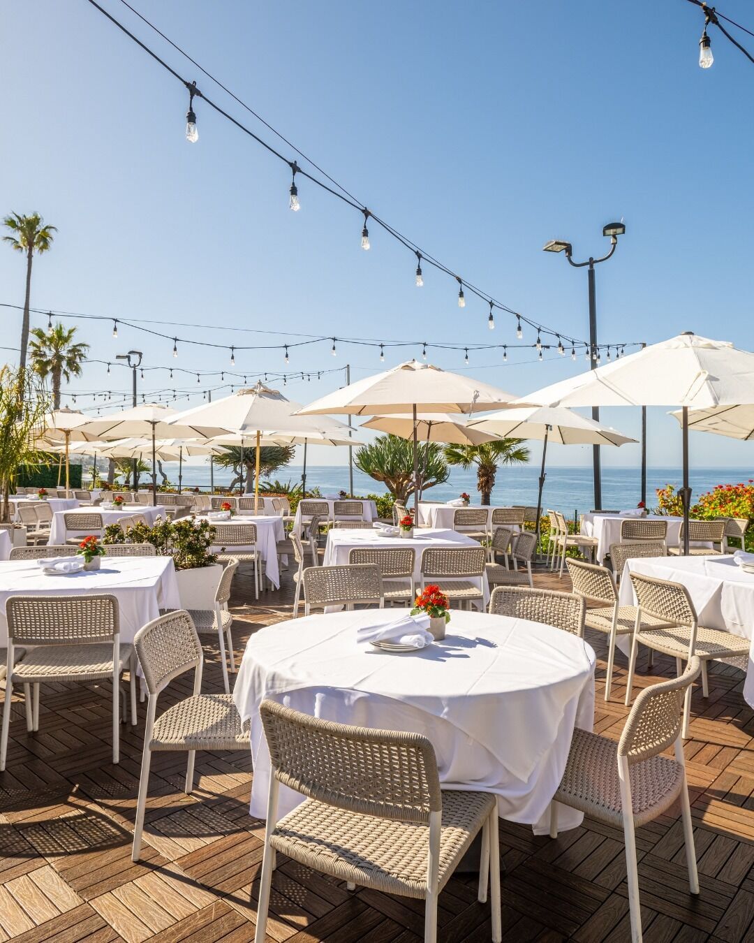 Oceanfront terrace seating at Las Brisas