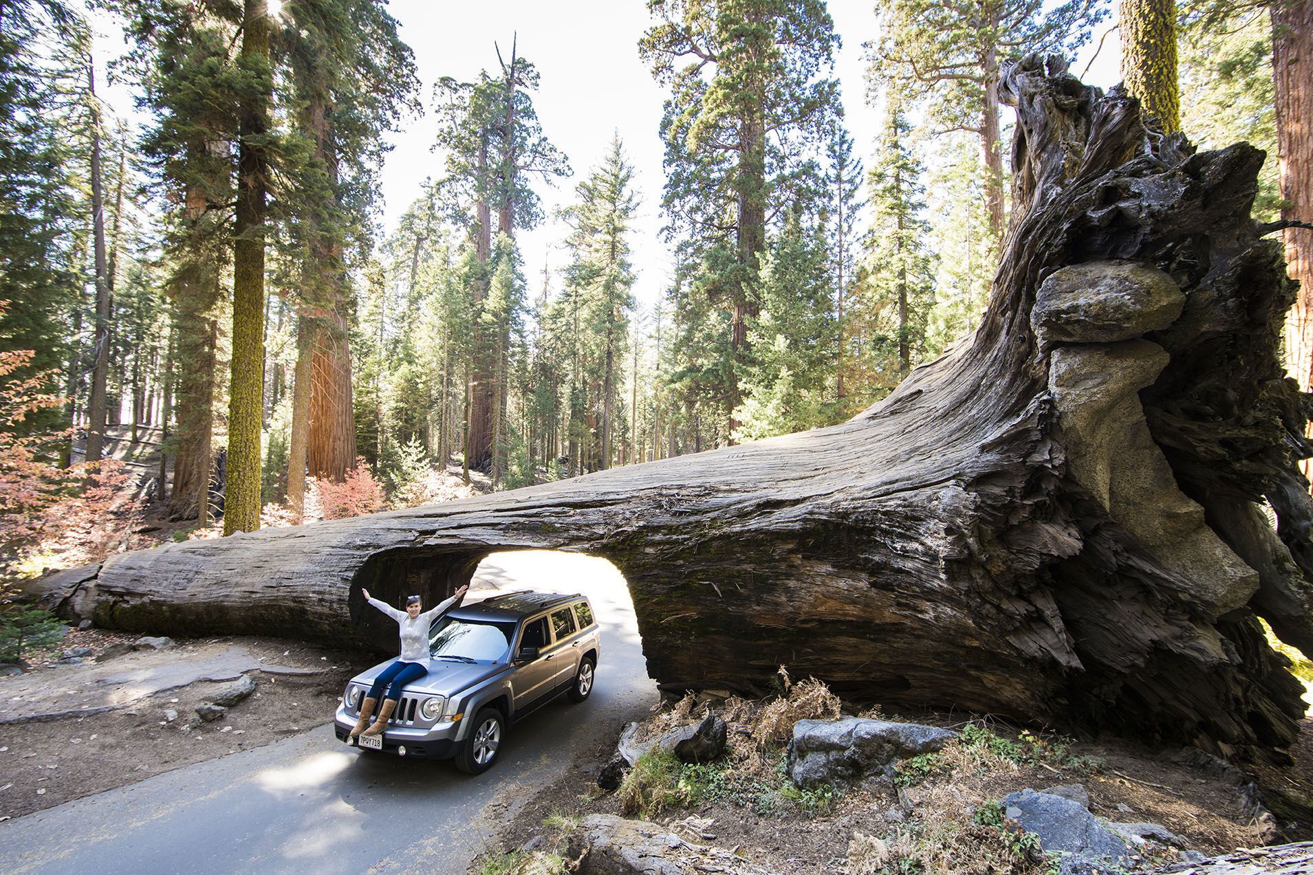 Explore the Best National Parks Near Los Angeles