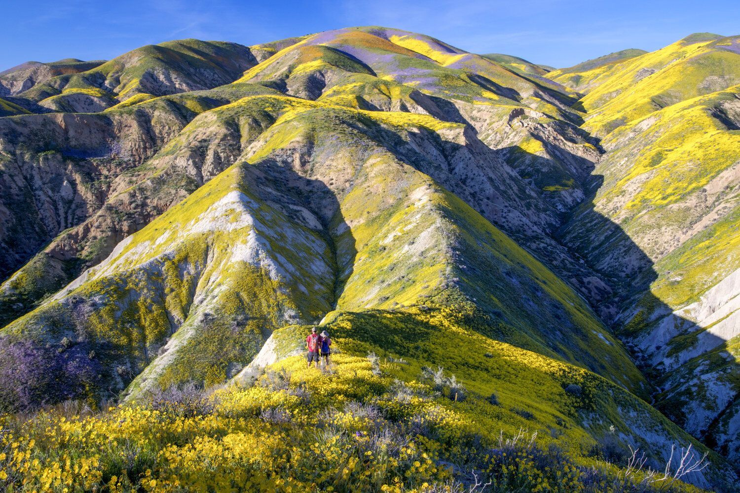 Explore the Best National Parks Near Los Angeles