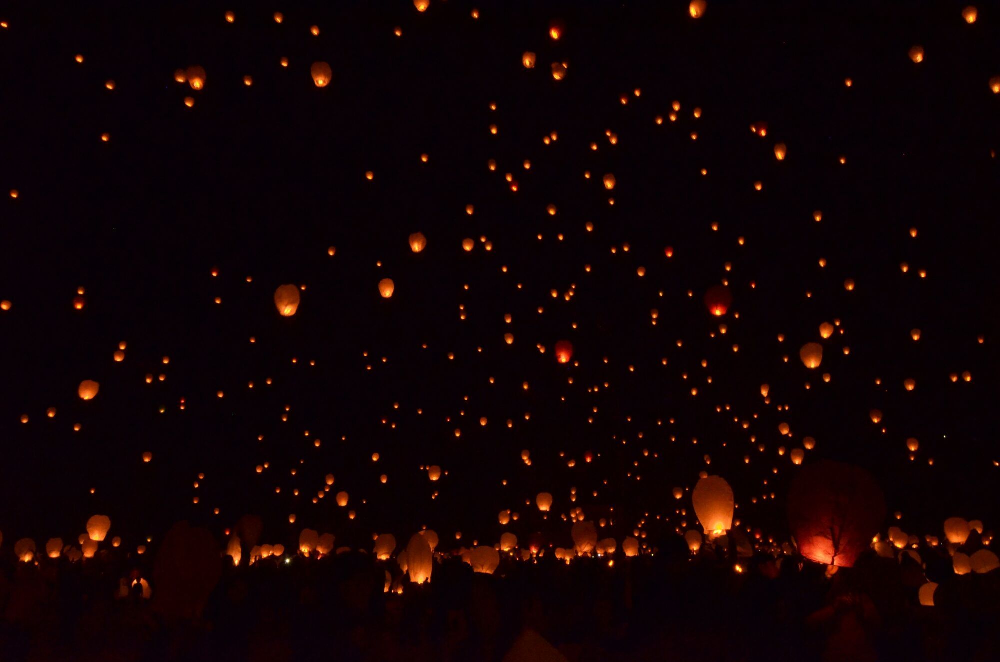 Lift off at Lantern Fest