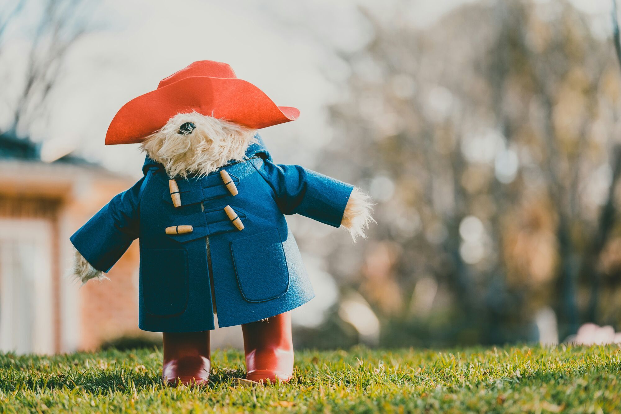 We thought we’d take Paddington Bear out on an adventure outside and he loved it