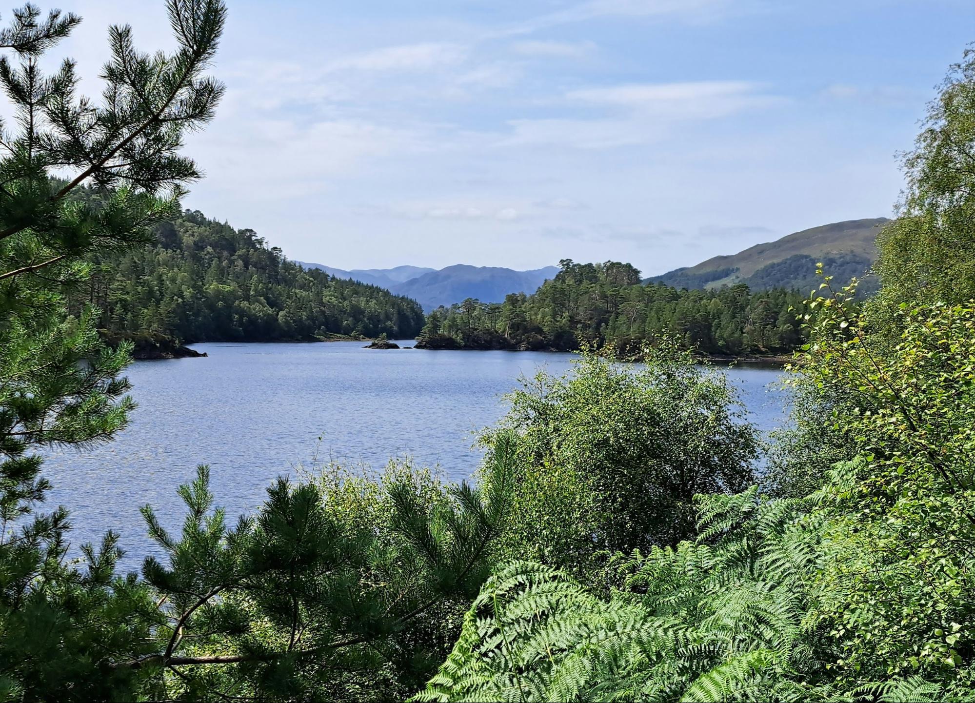 Scenic view of Glen Affric with lush green forest and calm waters