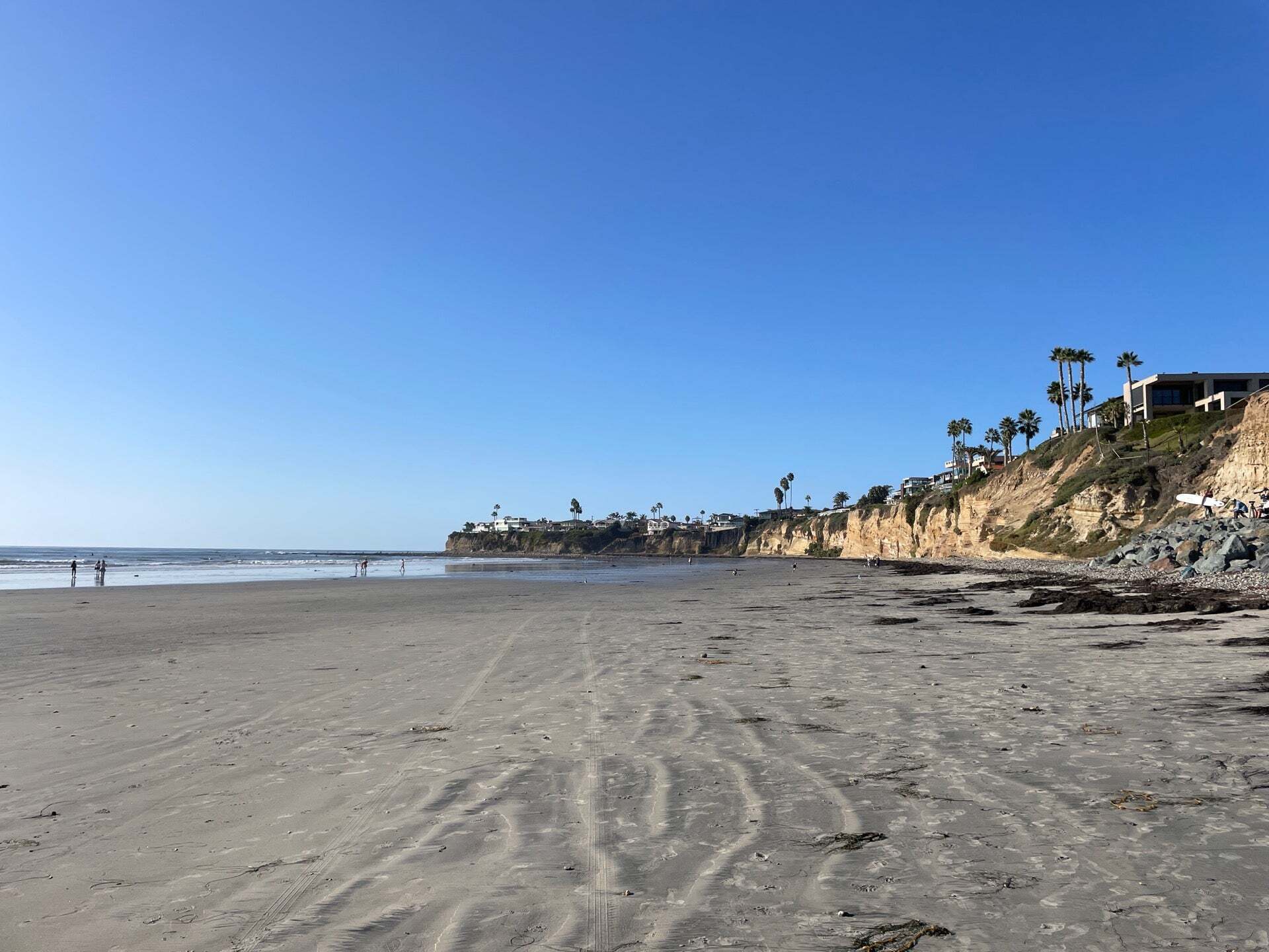 Explore the Best Tide Pools in San Diego