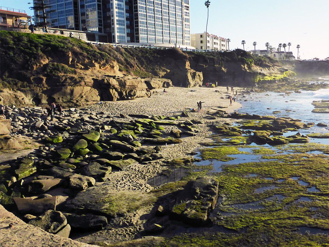 Explore the Best Tide Pools in San Diego