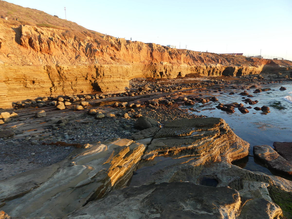 Explore the Best Tide Pools in San Diego