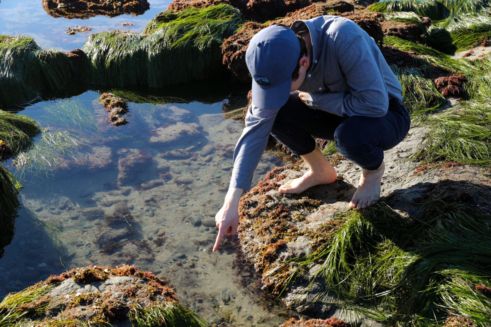 Explore the Best Tide Pools in San Diego