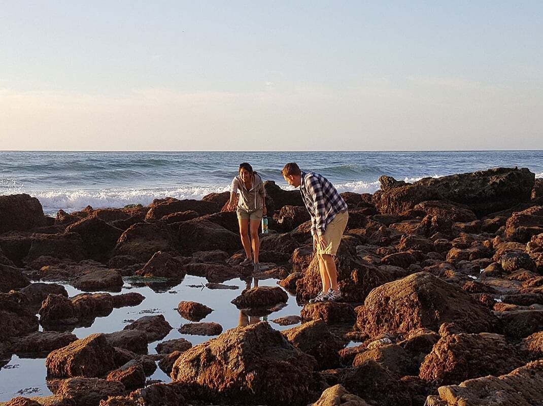 Explore the Best Tide Pools in San Diego