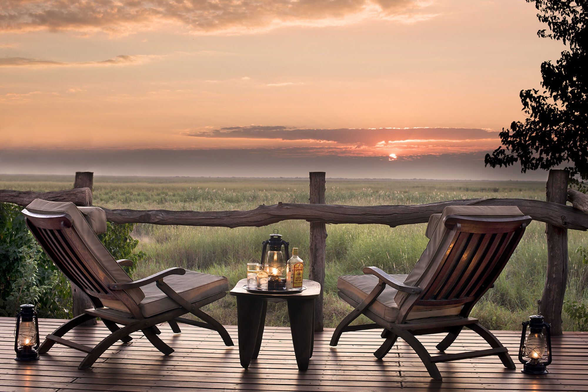 Linyanti Bush Camp: a safari in Botswana that offers an unforgettable experience