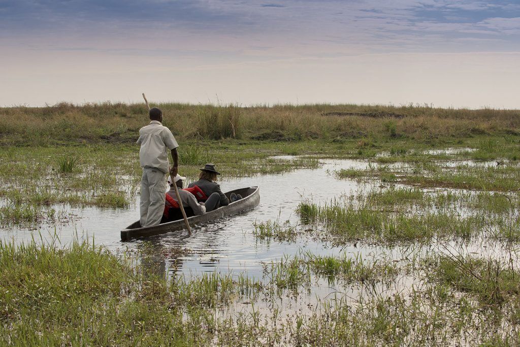 Linyanti Bush Camp: a safari in Botswana that offers an unforgettable experience