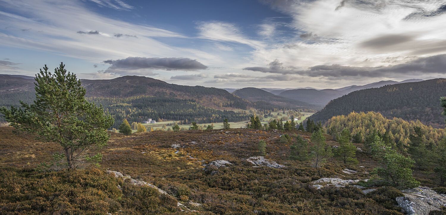 In the United Kingdom, there are plans to develop the country's first pristine national park
