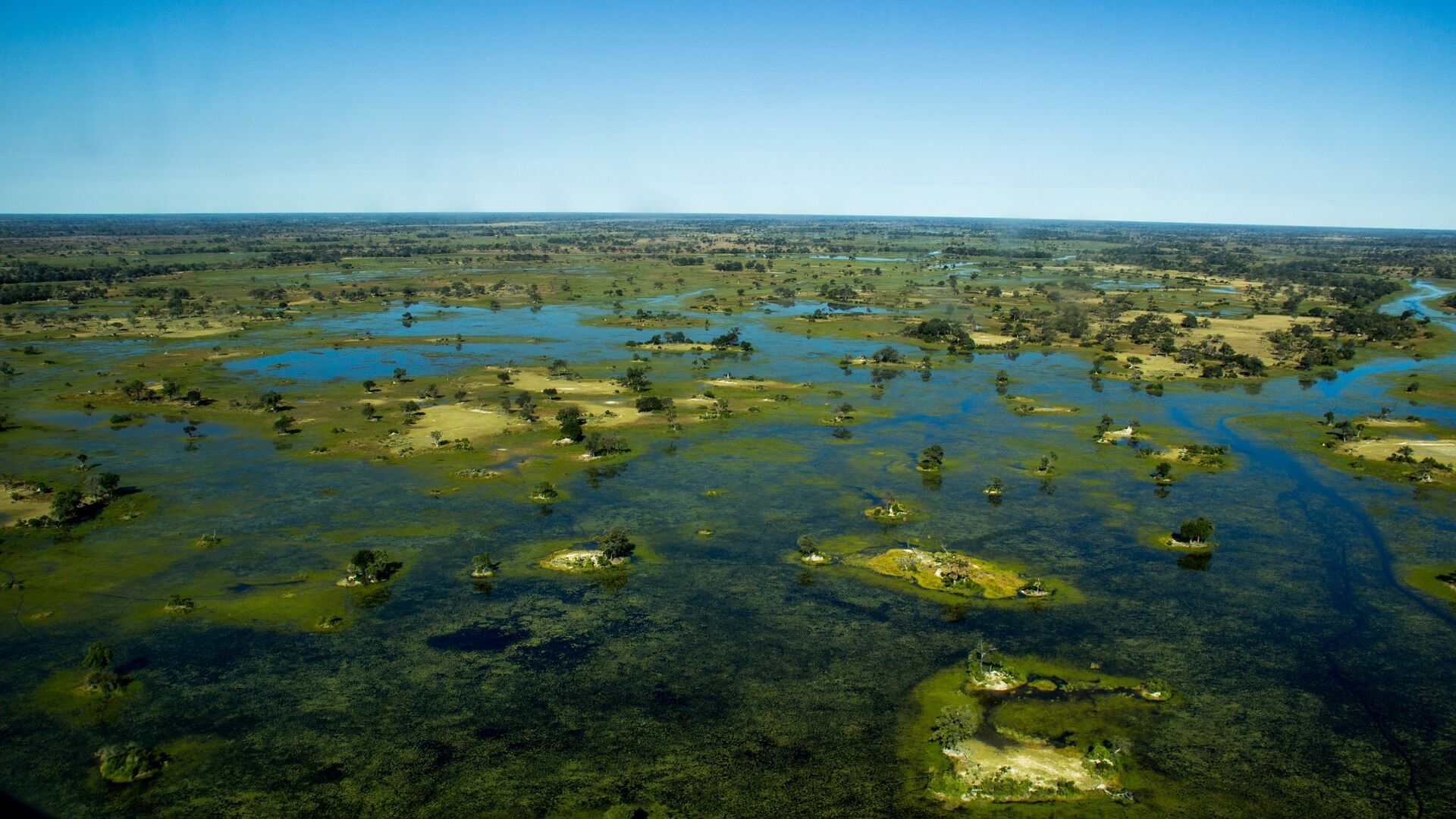 Africa's national parks: the best safari destinations to discover a different side of the wild