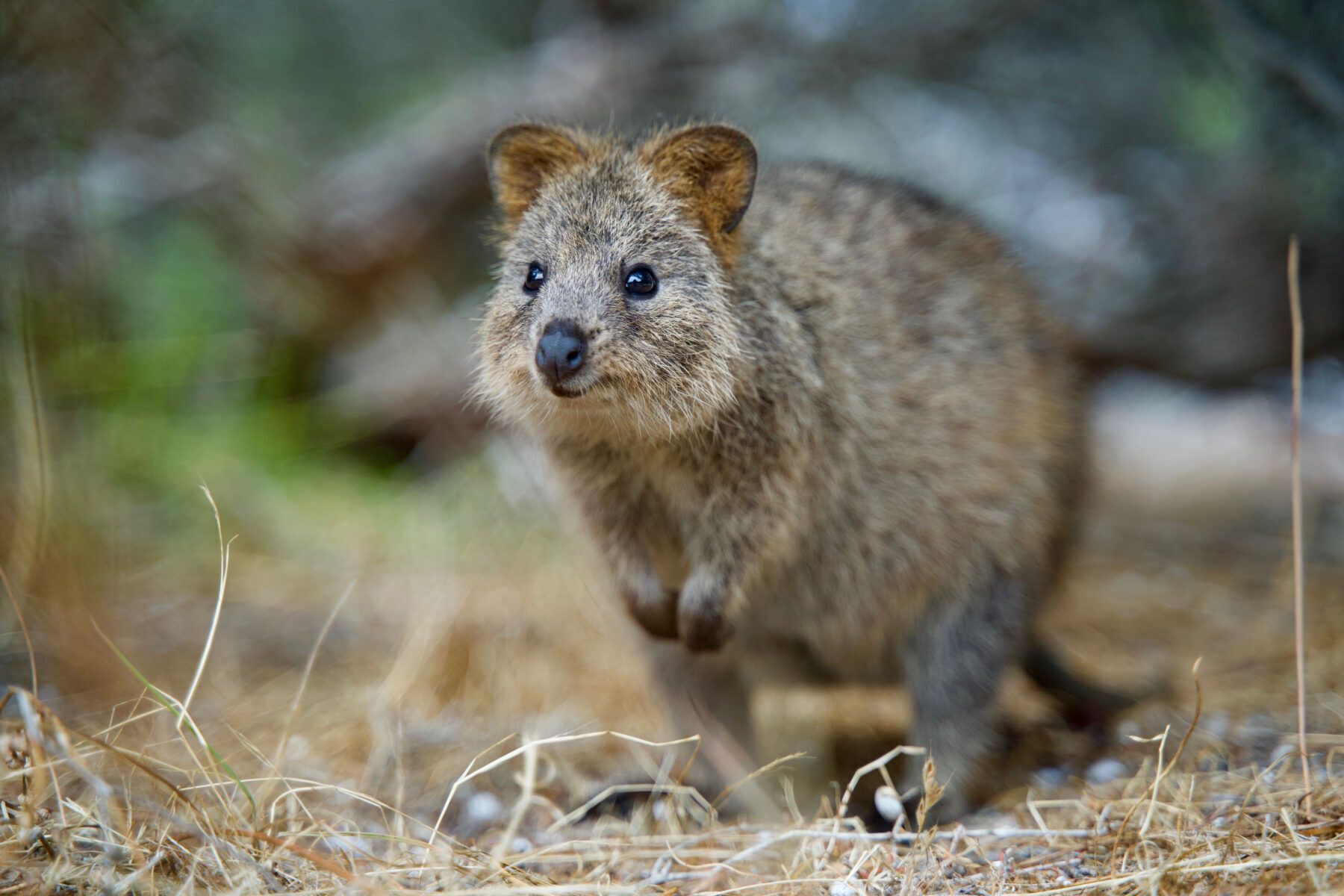 5 places in Australia to visit in search of unique experiences