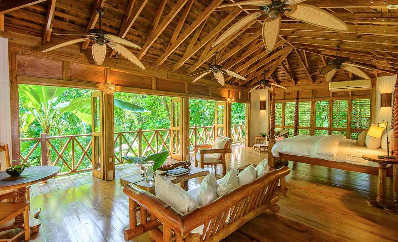 The best treehouse hotels around the world: top 10 ideas on where to spend your vacation, from New Zealand to Jamaica