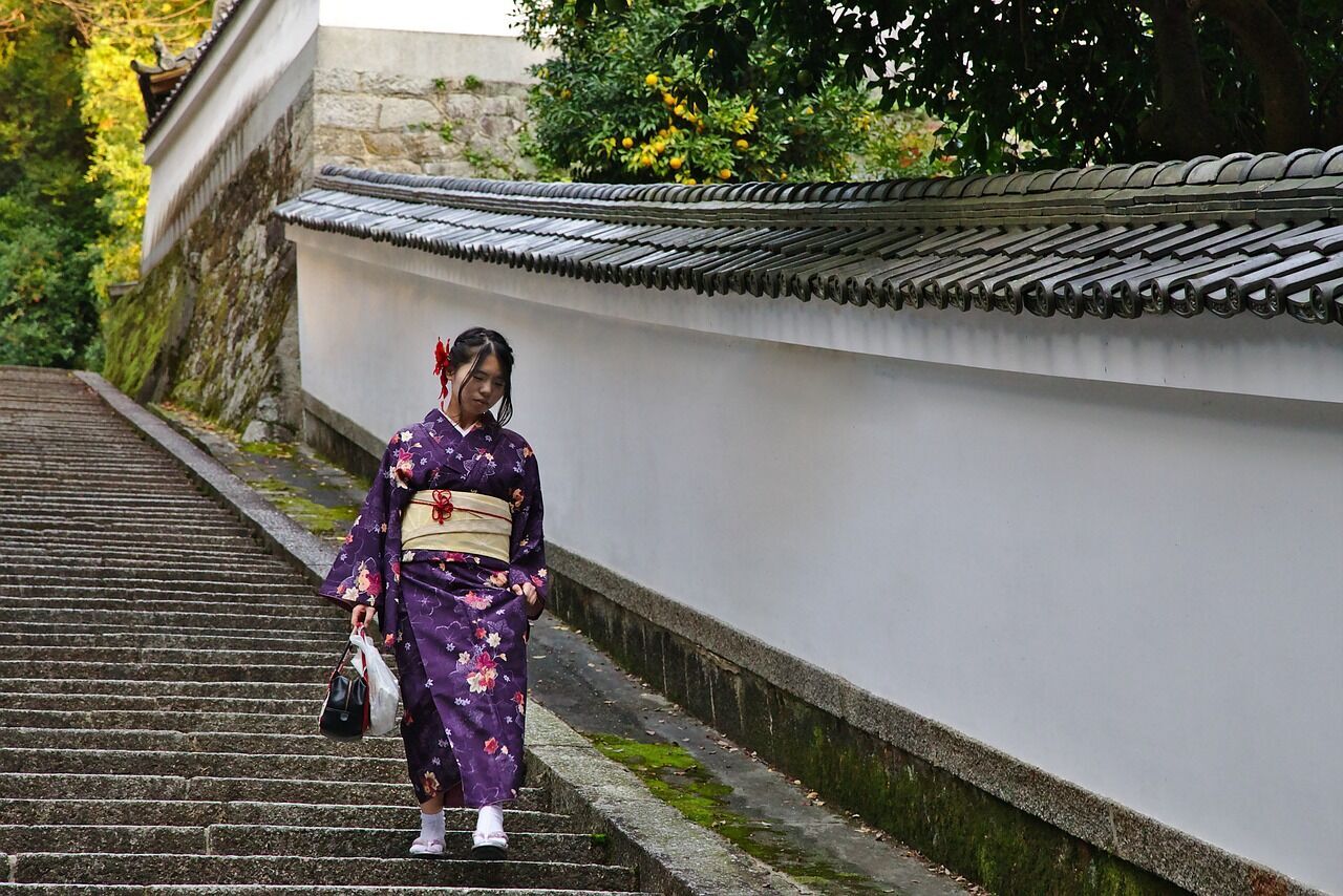 Japan to ban foreigners from entering a famous tourist area due to geishas' complaints