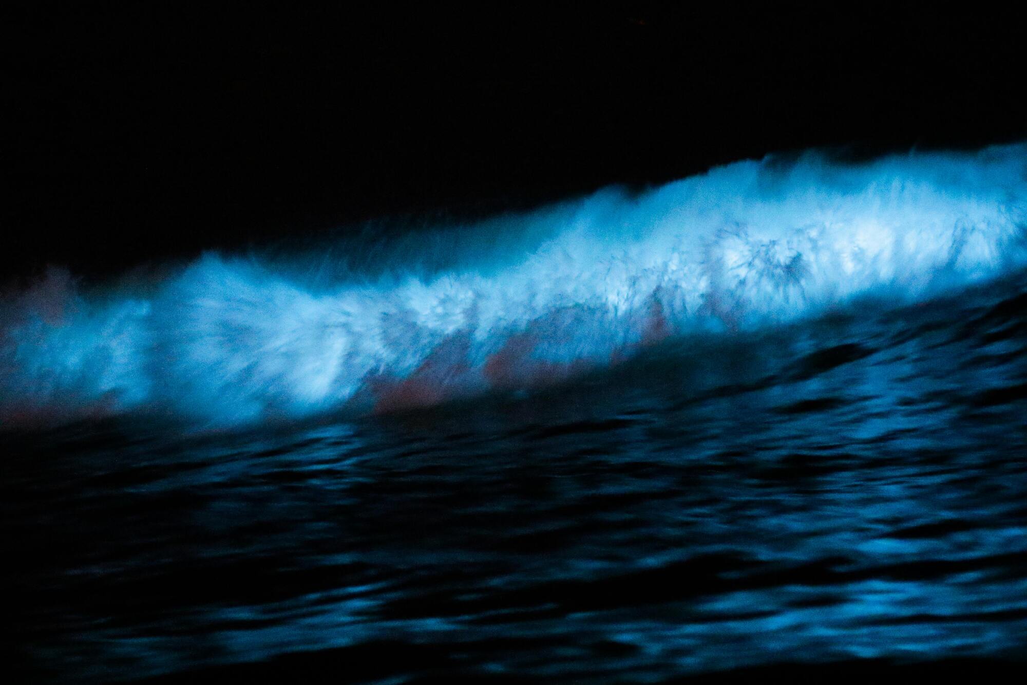 Exquisite bioluminescent beaches of the world to visit
