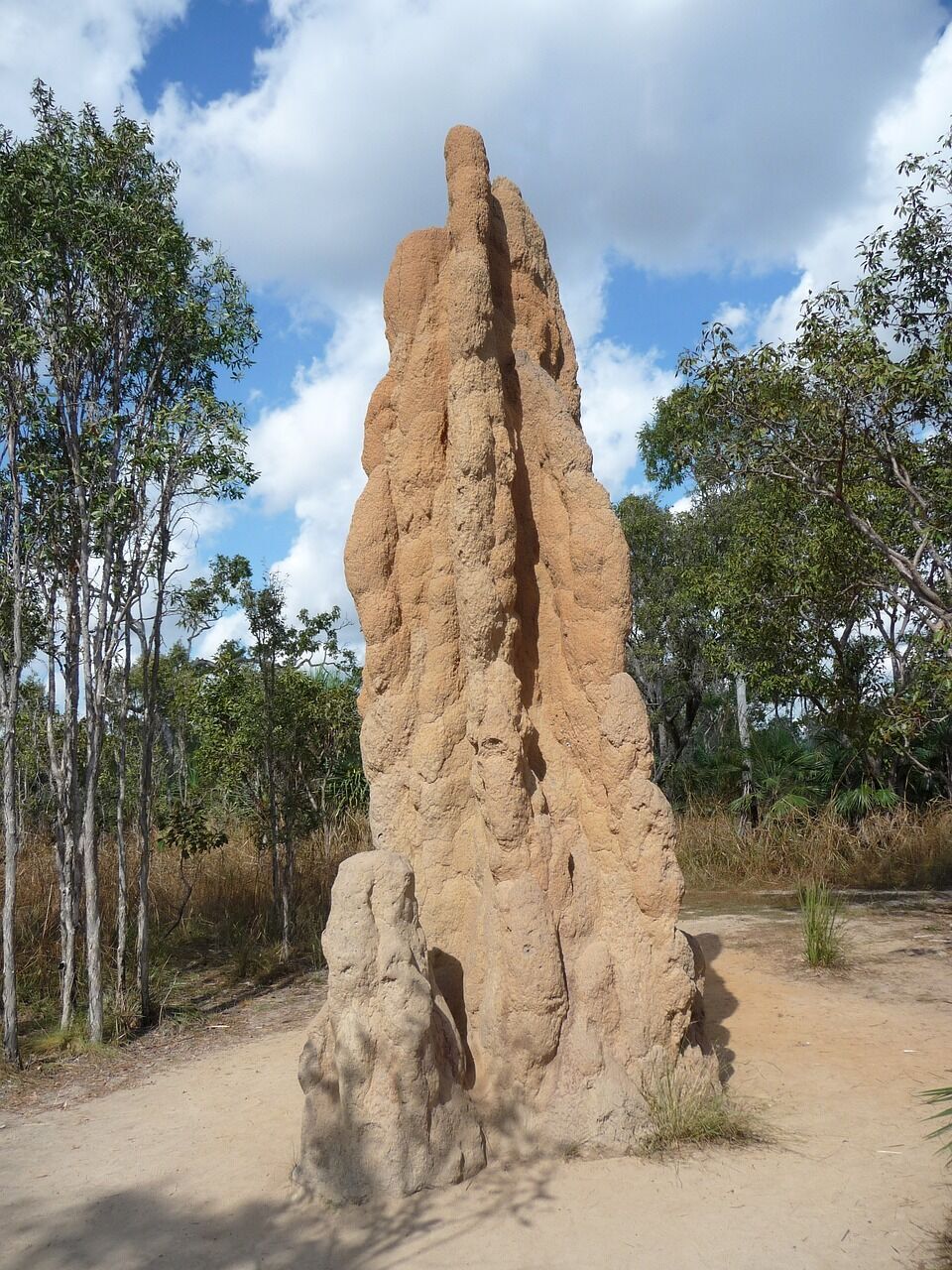 Tourist tells what struck him in the Australian outback: it's not giant snakes and spiders